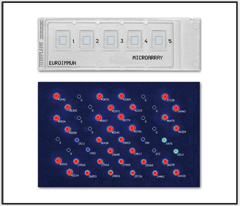 Produktkatalog2012 Vorderteil CS5.indd