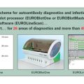 EUROLineScan_inkubationsschema_en.jpg