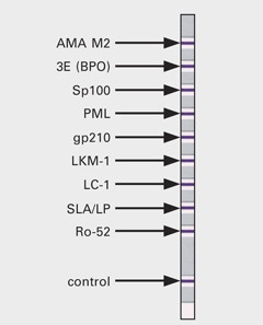 Produktkatalog2008.p65