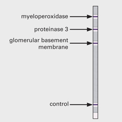 Produktkatalog2009.p65